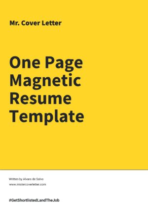 One Page Magnetic Resume Template
